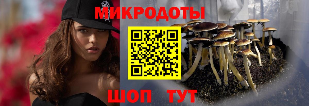 Галлюциногенные грибы Psilocybe  Вход с VPN  Бирск 
